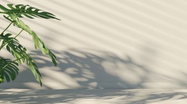 Ürün sunumu için yumuşak bir zemin. Bir bitkinin gölgesi ve duvarda bir ev bitkisiyle çevrili perdeler var.