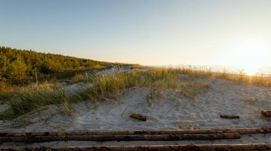 Baltık Denizi 'nde güzel bir sahilde gün batımı çimlerle kaplı kum tepeleri. Ön planda tahta gövdeler var. Altın saat. Slajszewo, Polonya