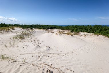 Leba, Polonya - 27 Temmuz 2024 - Leba 'daki yat limanı. Güzel güneşli bir öğleden sonra. Ön planda bulanık yapraklar var. Arka planda Sualtı Arkeoloji ve Baltık Balıkçılığı Müzesi.