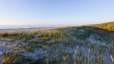 Baltık Denizi 'nde çimlerle kaplı güzel bir sahil. Altın saat. Slajszewo, Polonya