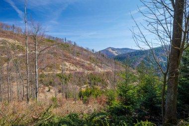 Dağlarda ilkbaharın başlarında. Güneşli güzel bir gün. Wielka Racza 'nın zirvesine giden sarı yol. Bendoszka Wielka zirvesi uzakta. Beskid Zywiecki. Rycerka. Polonya