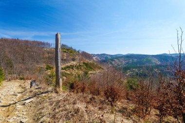 Güzel dağ manzarası. Baharın başında. Beskid Zywiecki. Rycerka 'dan Wielka Racza' ya kadar sarı yol. Ön planda kuru bir dal var. Polonya