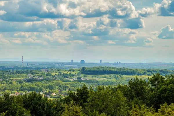 Panorama, manzara. Yeşillik ön planda. Uzak dağların arka planına karşı Katowice şehri gökdelenleri.