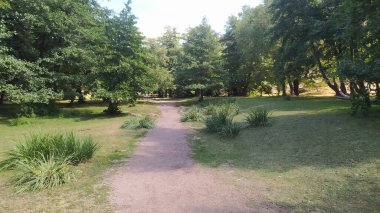 Yeşil çimenli güzel bir park manzarası