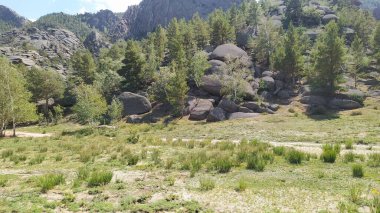 Parktaki manzara çok güzel.