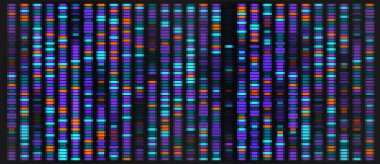 DNA sıralama vektör haritası. Kalıtsal kromozom veri görselleştirmesi. İnfografik analitikler için soyut gen grafik mimarisi. Duvar kağıdı haritalama için araştırma işaretleyici profili