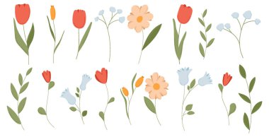 Şirin bitki ve yaprak elementli çiçek seti. Düz bahçe karalaması yaz klibi. İzole edilmiş yapraklar, lale, kır çiçeği ve modern botanik dal desenli basit doğa grafikleri.