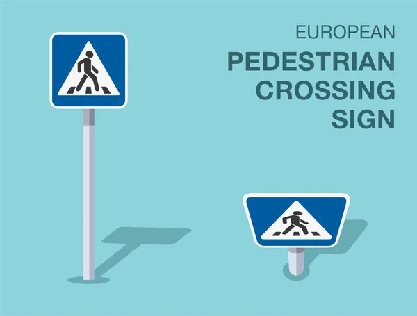 Regler För Trafikreglering Isolerade Europeiska Övergångsskyltar Framifrån Och Ovanifrån Mall — Stock vektor