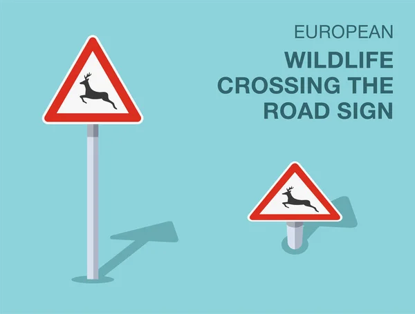 Traffic Regulation Rules Isolated European Wildlife Crossing Road Sign Front — Stock Vector