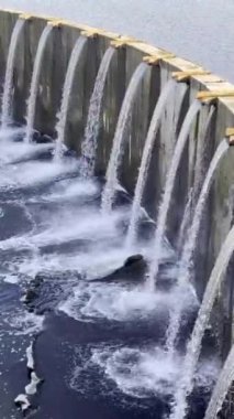 Beton bariyerin üzerinden akan suyun yakın çekimi. Bir sıra ince damlacıklar. Küçük nehir manzaralı. Dikey gerçek zamanlı sabit görüntü. 