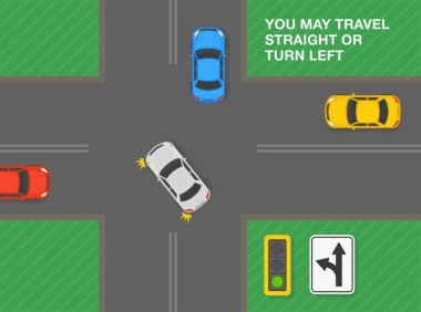 Güvenli sürüş ipuçları ve trafik kuralları. Amerika Birleşik Devletleri 