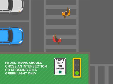 Güvenli sürüş ipuçları ve trafik kuralları. Sadece yeşil ışıkta geç. Karşıdan karşıya geçen yayaların en üst görüntüsü. Düz vektör resimleme şablonu.