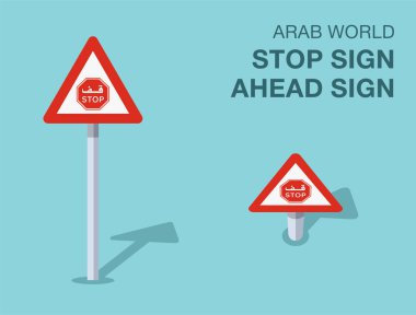 Trafik yönetmeliği kuralları. İzole olmuş Arap Dünyası 