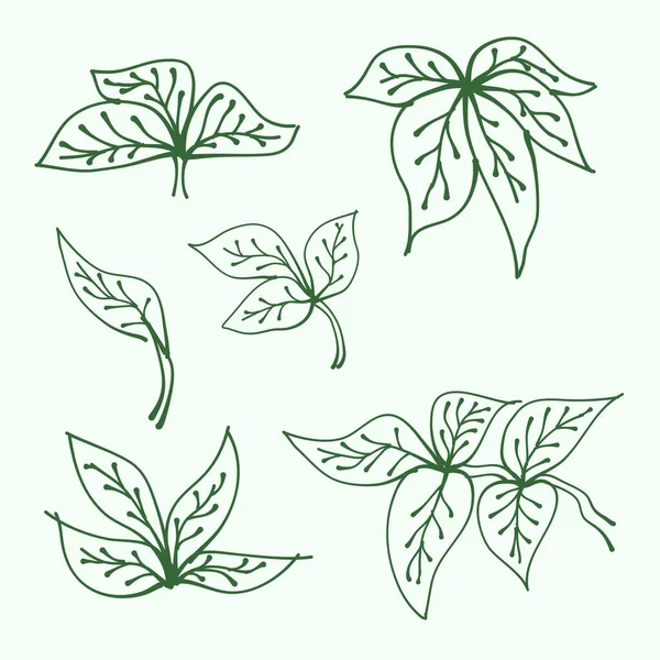 葉の集合だ 葉や枝のある手描きの枝 植物だ 装飾用の葉の輪郭 葉シルエットのベクトルコレクション — ストックベクタ
