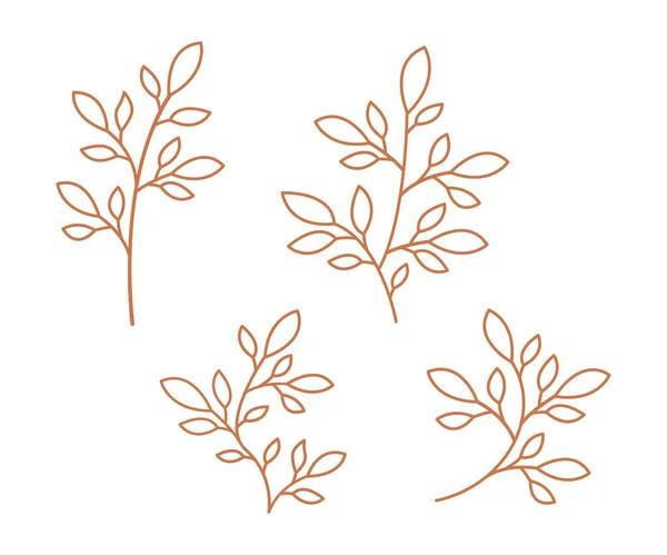 葉の集合 ベクトルの枝と葉 手描きの花の要素 集合葉 葉の輪郭デザイン — ストックベクタ
