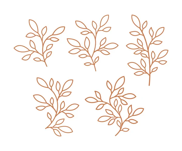 葉の集合 葉の輪郭のデザイン 葉の集合 葉の集合 ベクトルの枝と葉 手描きの花の要素 — ストックベクタ