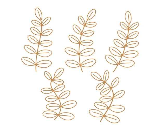 ベクトル手描きアウトラインデザイン要素 手描き装飾葉と花輪 葉を持つ木の枝 — ストックベクタ