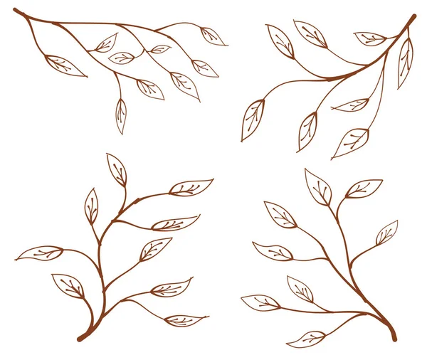 花の要素のセット 葉ベクトル要素 手描きの葉 枝と葉 デザインの葉のためのエレガントなイラスト — ストックベクタ