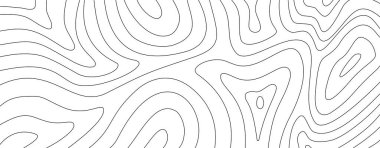 topoğrafik çevre. çevre çizgileri arka plan. Topografik harita çevresi. Soyut dalgalı arka plan. açık hava temalı dalgalı soyut çizgi arkaplanı.