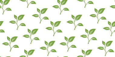 Kusursuz bir arka plan bırakıyor. Çay yaprağı deseni. Arkasında iz bırakıyor. Yaprak arkaplanı olan kusursuz desenler