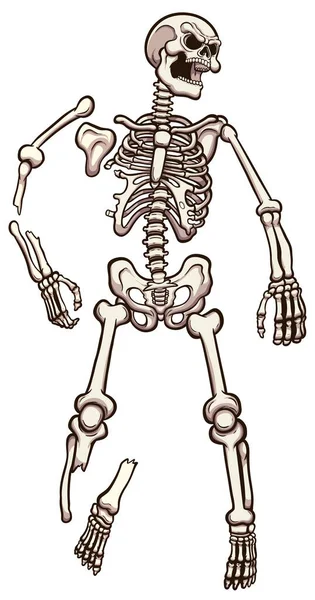 Cartoon Laying Skeleton Ilustración Vectorial Con Gradientes Simples — Vector de stock