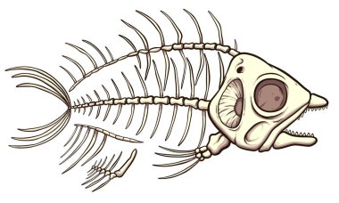 Balık iskeleti. Basit gradyanlı vektör illüstrasyonu.