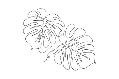 Canavar yaprağı vektörünün bir çizgi çizimi. Modern tek çizgi sanatı, estetik konsept. Ev dekorasyonu için mükemmel posterler, duvar sanatı gibi. vektör illüstrasyonu