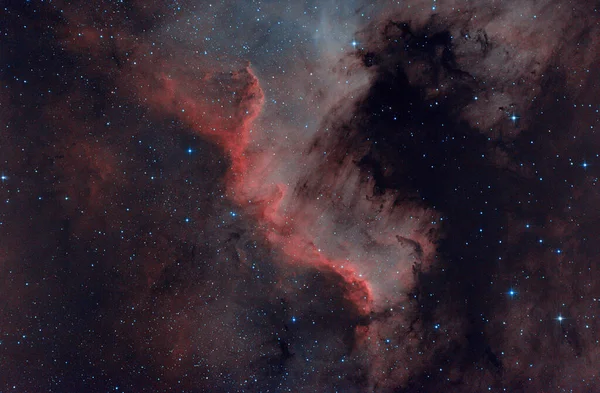 Bela Nebulosa Universo Espaço Profundo Ngc 7000 Parede Cygnus Parede — Fotografia de Stock