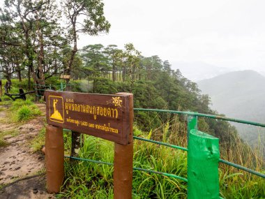 Uttaradit Eyaleti, Tayland - 24 Temmuz 2023: Phu Soi Dao Ulusal Parkı, Tayland 'ın kuzeyi.