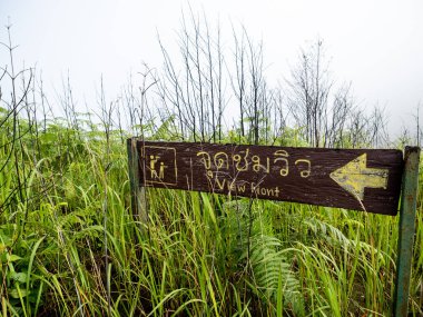 Uttaradit Eyaleti, Tayland - 24 Temmuz 2023: Phu Soi Dao Ulusal Parkı, Tayland 'ın kuzeyi.