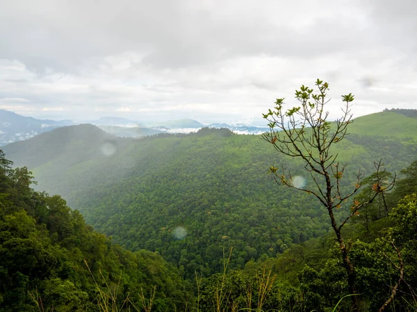 Provinz Uttaradit Thailand Juli 2023 Phu Soi Dao Nationalpark Norden — Stockfoto