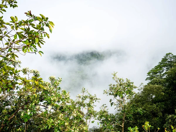Uttaradit Eyaleti Tayland Temmuz 2023 Phu Soi Dao Ulusal Parkı — Stok fotoğraf