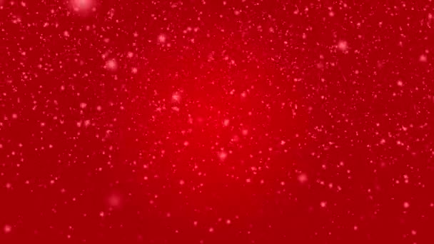 Many White Snowflakes Falling Red Background — Video