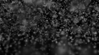 Many white snowflakes falling down on a black background