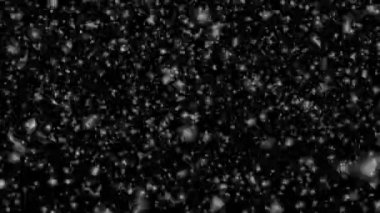 Many white snowflakes falling down on a black background