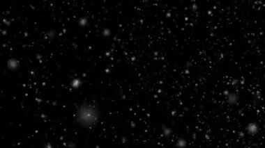 Many white snowflakes falling down on a black background