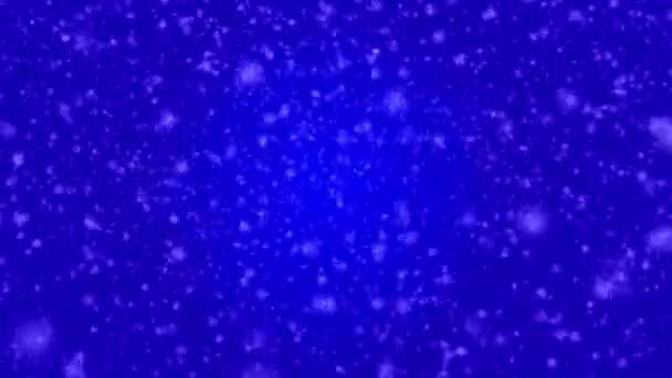 Many White Snowflakes Falling Dark Blue Background — Stockvideo
