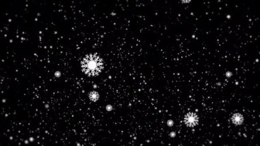 Many white snowflakes falling down on a black background