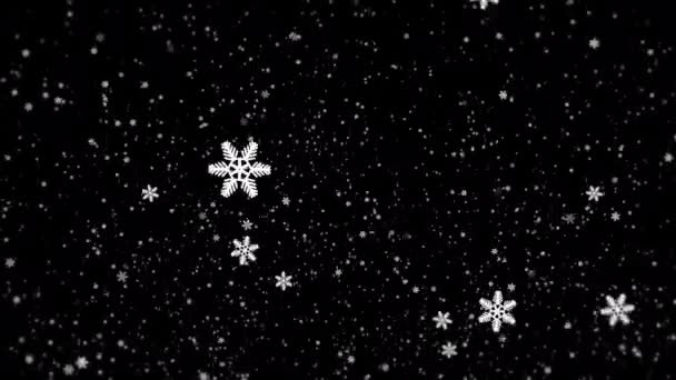 Багато Білих Сніжинок Падають Чорний Фон — стокове відео