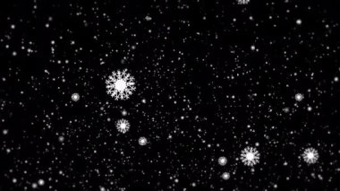 Many white snowflakes falling down on a black background