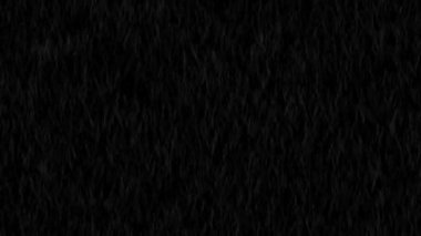 4k Loop Rain Drops Falling Alpha, Real Rain, High quality, Thunder, speedy, night, Dramatic, Sky Drops, check our page for more 4K Rain Frames,