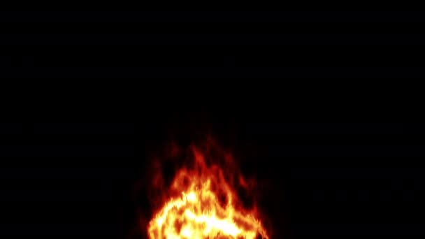 Огненное Пламя Черном Фоне Яркий Огонь — стоковое видео