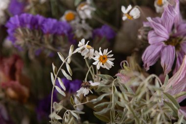 Güzel bir buket kurumuş çiçek.