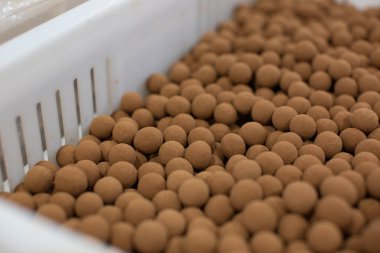 Çikolatalı trüf mantarı pişiriyorum.