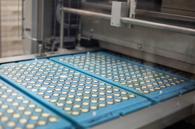 Şeker fabrikası. Şekerleme üretim süreci. Üzerinde şeker olan taşıma bandı..