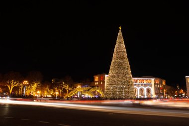 Erivan Cumhuriyeti meydanında yeni yıl ağacı