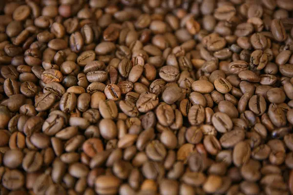 stock image Overhead view of backdrop representing halves of dark brown coffee beans. Texture of coffee beans