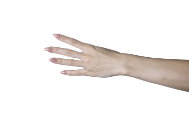 Eller beyaz arkaplanda izole edilmiş