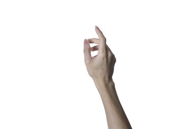 Eller beyaz arkaplanda izole edilmiş