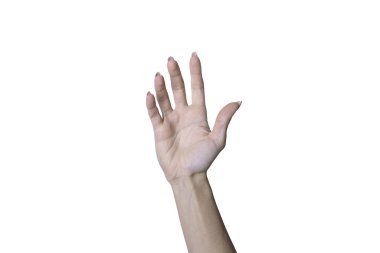 Eller beyaz arkaplanda izole edilmiş